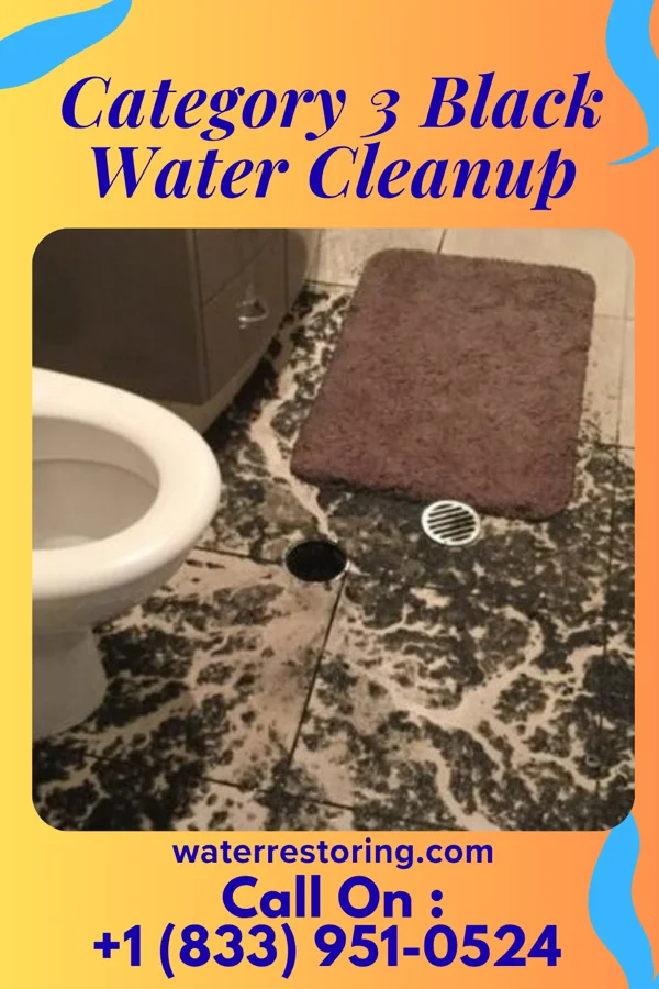 Category 3 Black Water Cleanup in Cave Spring, GA